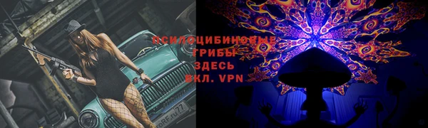 mdpv Алагир