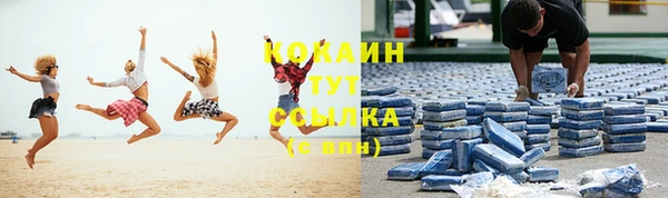 прущие грибы Алапаевск