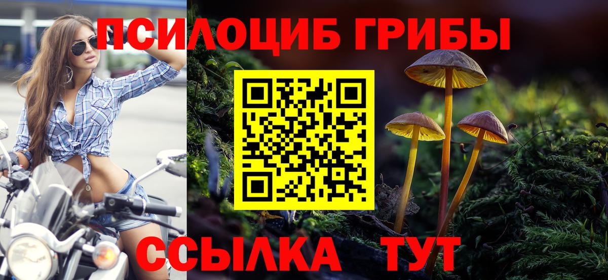 Валуйки  Псилоцибиновые грибы Psilocybe  Вход с VPN  Галлюциногенные грибы мухоморы 