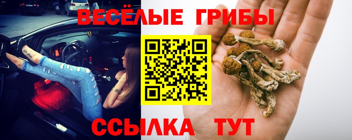 Псилоцибиновые грибы мухоморы Валуйки